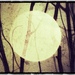 [Image: Photo]