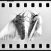 [Image: Photo]