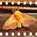 [Image: Photo]